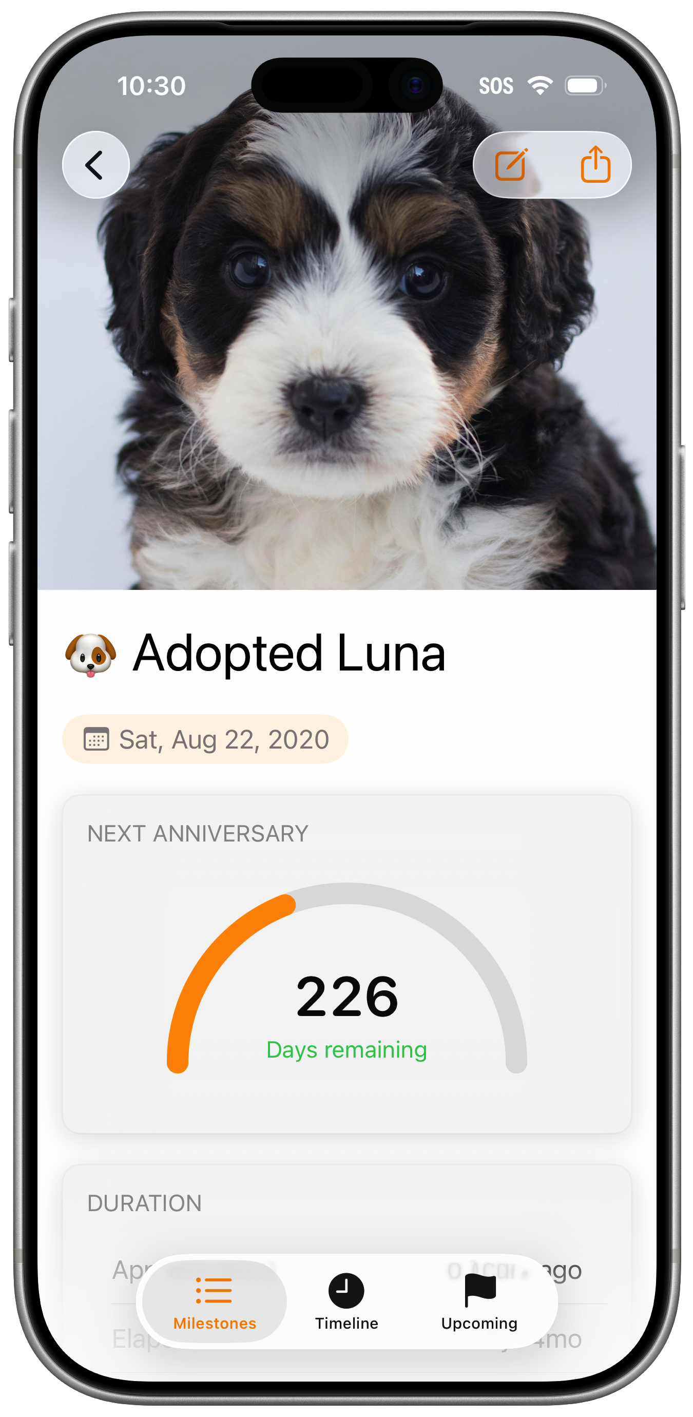 Milestone Detail View